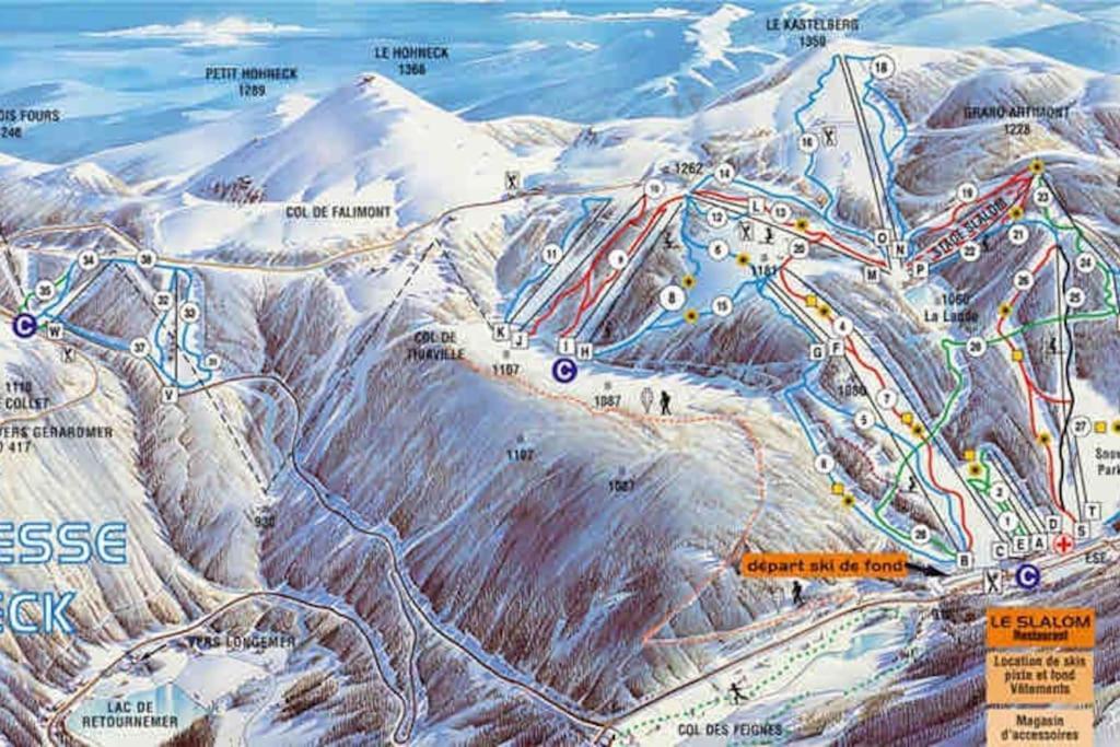 Cocon Des Chaumes Lägenhet La Bresse Exteriör bild